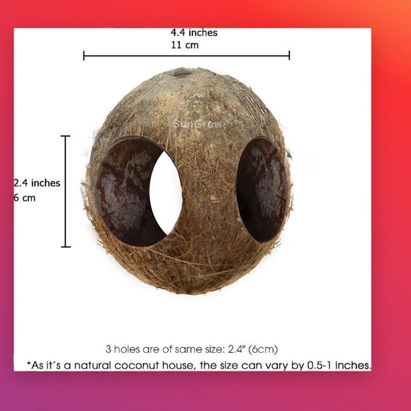 TRADED 💜FANCY SWAP💜 - Picture 3 of 5